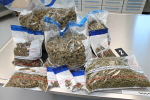 Bildquelle: © Landespolizeiinspektion Gotha
Teilmengen des sichergestellten Marihuana